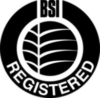 BSI 18761