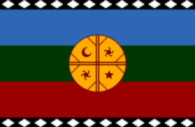Mapuche Flag