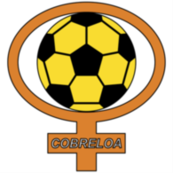 Cobreloa 7911