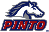 Pinto