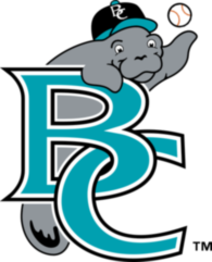 Brevard County Manatees