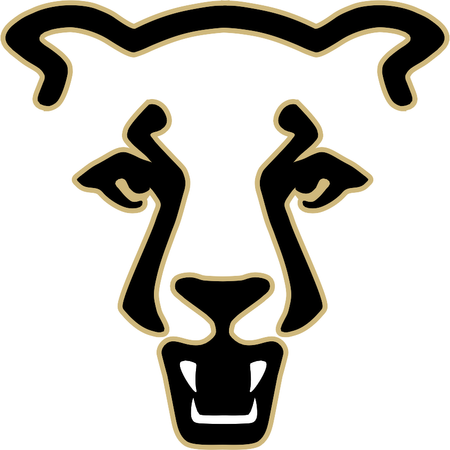 Uccs Mountain Lions