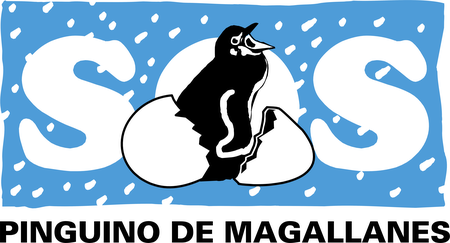 Pinguino De Magallanes