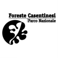 Foreste Casentinesi