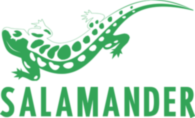 Salamander