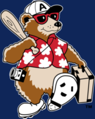 Asheville Tourists