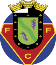 FC Felgueiras