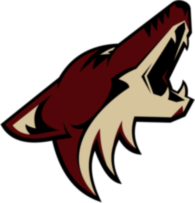 Phoenix Coyotes