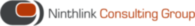 Ninthlink Consulting Group