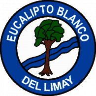 MISION MADRES DEL BARRIO