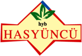 Hasyüncü