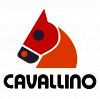 CAVALLINO GIOCATTOLI