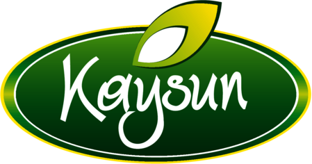 Kaysun