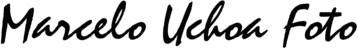 Marcelo Uchoa Foto