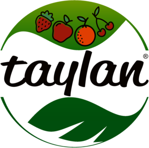 Taylan