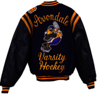 Jacket Varsity Avondale