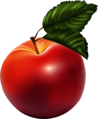 Apple Red Illustration Large