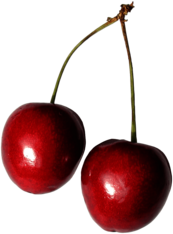 Cherry Duo Shiny