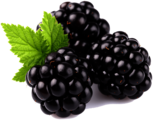 Blackberries Trio