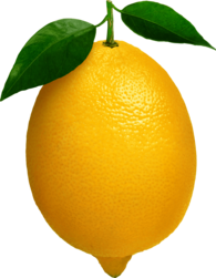 Single Lemon