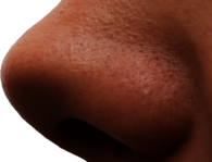 Large Man Nose
