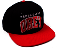 Obey Cap