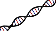 DNA String Diagonal
