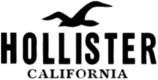 Hollister 