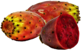 Prickly Pear Cactus Fruit
