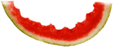 Watermelon Peel