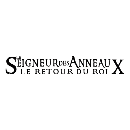 Le Seigneur Des Anneaux