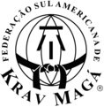 Krav Maga