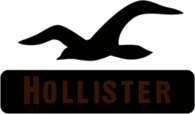 Hollister Co.