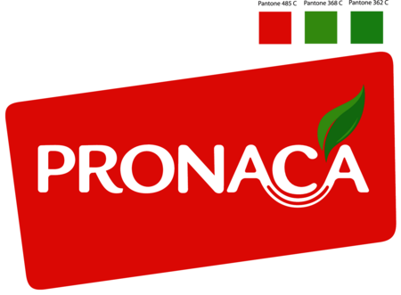 Pronaca
