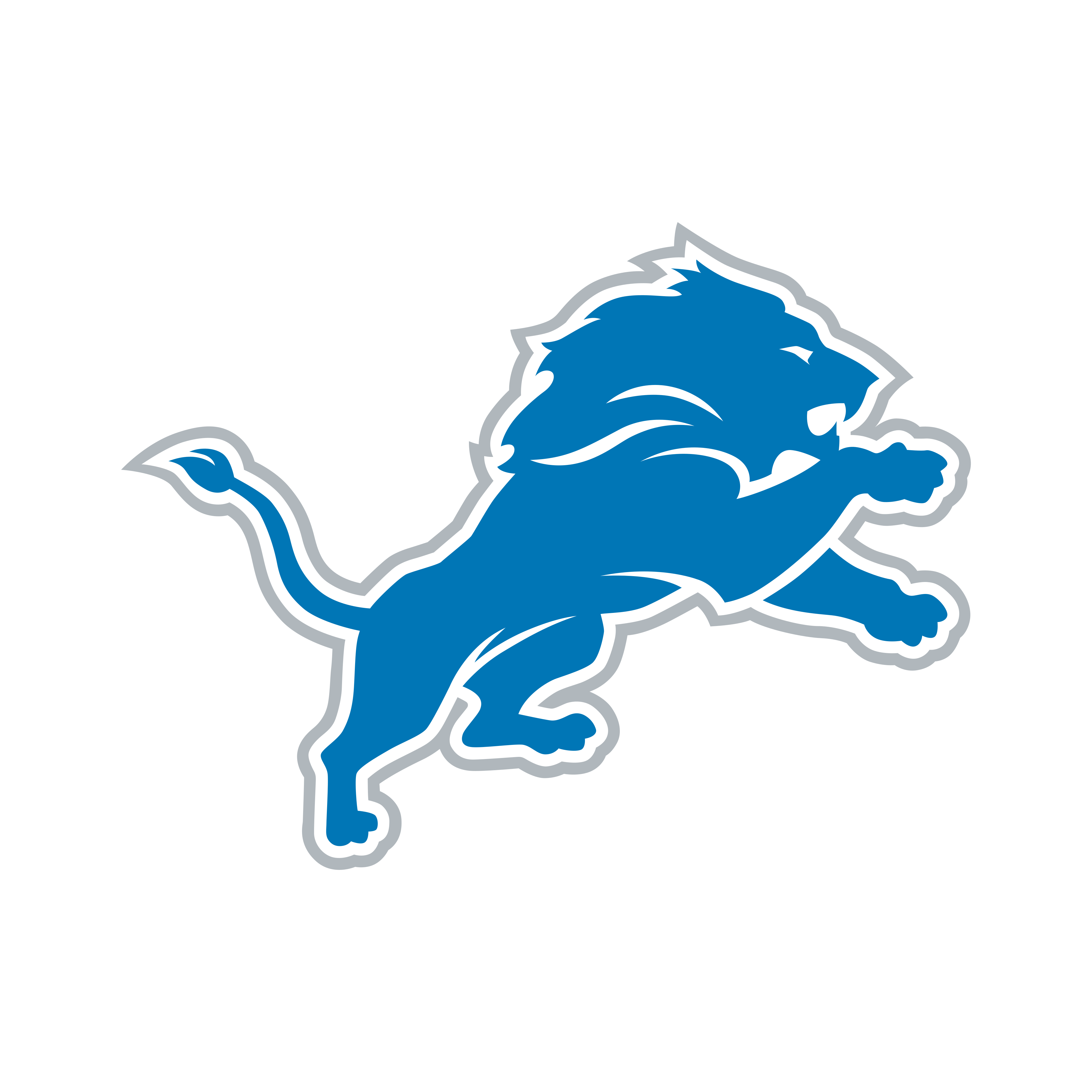 Detroit Lions