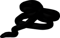 Black Snake