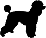 Poodle Silhouette