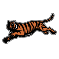 Cinncinati Bengals