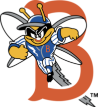 Binghamton Mets