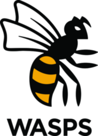 Wasps
