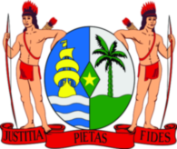 Coat Of Arms Of Suriname