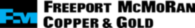 Freeport Mcmoran