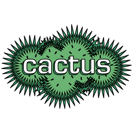 Cactus
