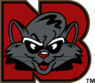 New Britain Rock Cats