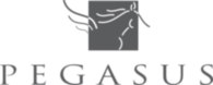 Pegasus