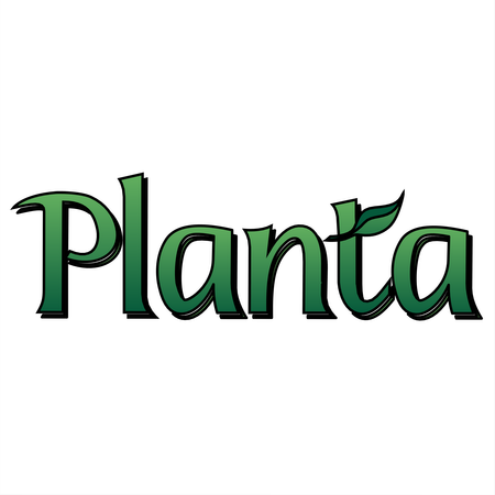 Planta