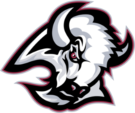 Buffalo Sabres 20501
