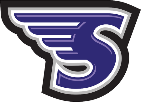Stonehill Skyhawks