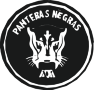Panteras Negras