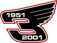 Dale Earnhardt Wings